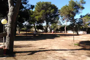 Campingplatz mit hohen Bäumen, Rasenfläche und Kiesweg, im Hintergrund Hecken und ein Gebäude.