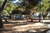 Camping Il Forte - Wohnwagen unter Bäumen vom Campingplatz
