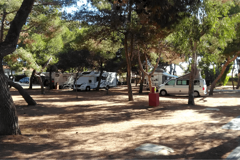 Camping Il Forte - Wohnwagen unter Bäumen vom Campingplatz