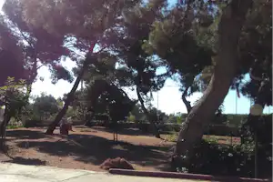 Camping Il Forte - Zeltplätze im Schatten der Bäume auf dem Campingplatz