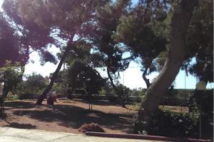 Camping Il Forte - Zeltplätze im Schatten der Bäume auf dem Campingplatz