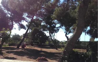 Camping Il Forte