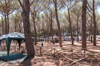 Camping Il Gabbiano Village - Wohnmobilstellplatz im Schatten der Bäume auf dem Campingplatz