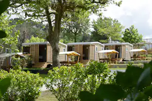 Reihe von Bungalows mit Holzfassaden und Terrassen, umgeben von Bäumen und Hecken auf einem Campingplatz.