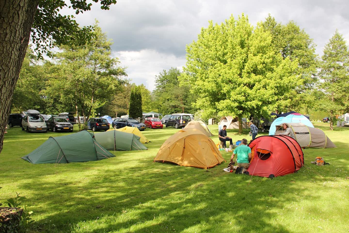 Camping Ile de Boulancourt  -  Zeltplatz vom Campingplatz auf grüner Wiese