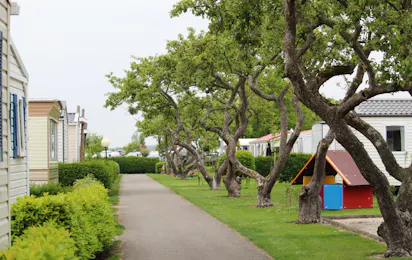Siblu Camping in de Bongerd