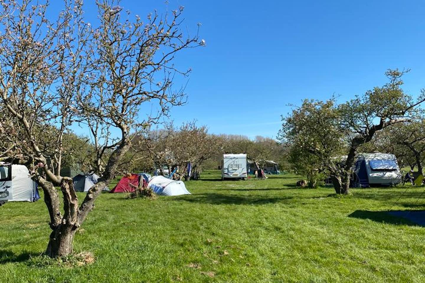 Camping In Het Fruit - Blick auf die Zeltplätze im Grünen