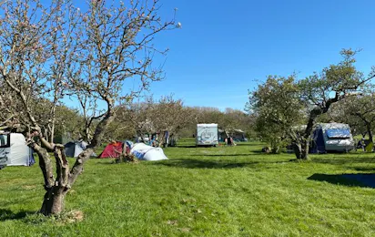 Camping In Het Fruit