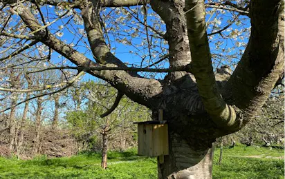 Camping In Het Fruit