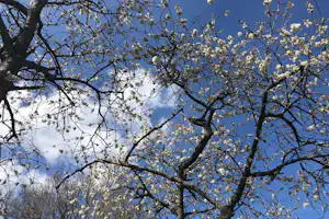 Camping In Het Fruit - Camping in der Natur