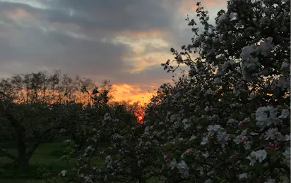 Camping In Het Fruit