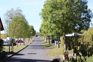 Camping in Naumburg - Gehweg auf dem Stellplatz vom Campingplatz im Grünen