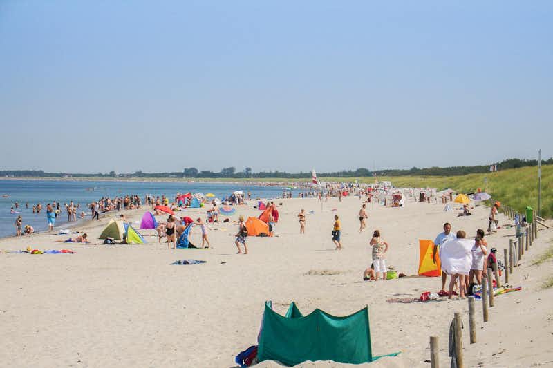 Camping in Neuhaus - Der Strand und die Ostsee mit Badegästen