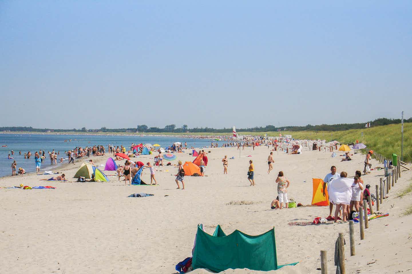 Camping in Neuhaus
