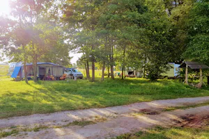 Camping Inter Nos - Stellplatz zwischen Bäumen auf dem Campingplatz