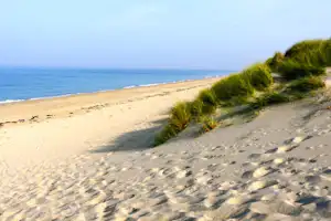 Sandstrand mit Dünen und Strandgras, Blick aufs Meer und den weiten Küstenstreifen.