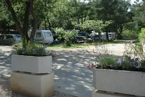 Wohnmobile und Autos auf einem Campingplatz zwischen Bäumen, mit Blumenbeeten und gepflastertem Weg.