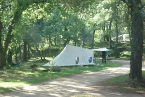 Weißes Campingzelt auf einem Stellplatz im Wald, mit Zeltplane und Weg zwischen den Bäumen.