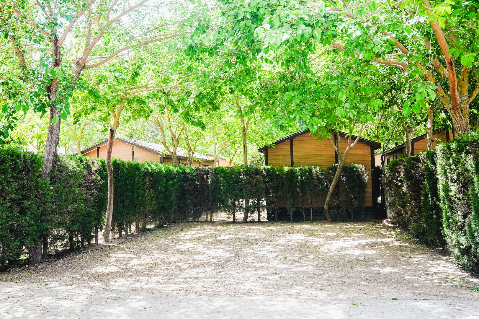 Camping Aranjuez by Samay  Camping Internacional Aranjuez - Standplätze im Grünen auf dem Campingplatz