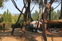 Camping Internacional Palamós  - Zelt auf dem Wohnwagen- und Zeltstellplatz vom Campingplatz zwischen Bäumen