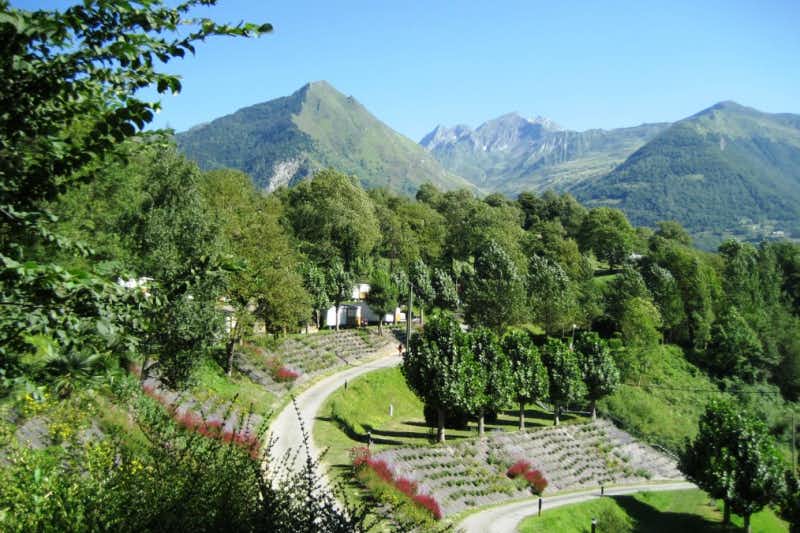 Camping International  -  Campingplatz im Grünen mit Blick auf die Alpen