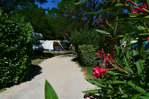 Camping International - Blick auf Standplätze teilweise umgeben von Schatten spendendem Pflanzenbewuchs