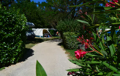 Camping International (Salavas)