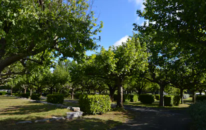 Camping International (Salavas)