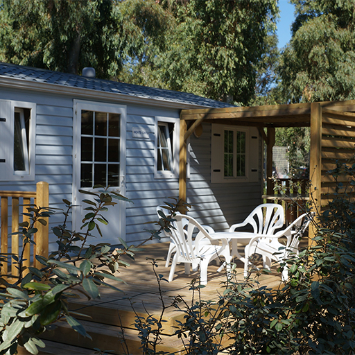 Camping International