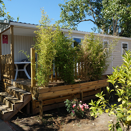 Camping International