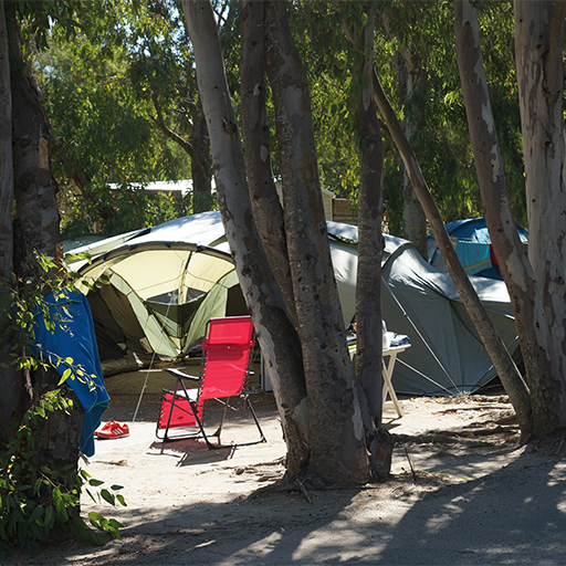 Camping International