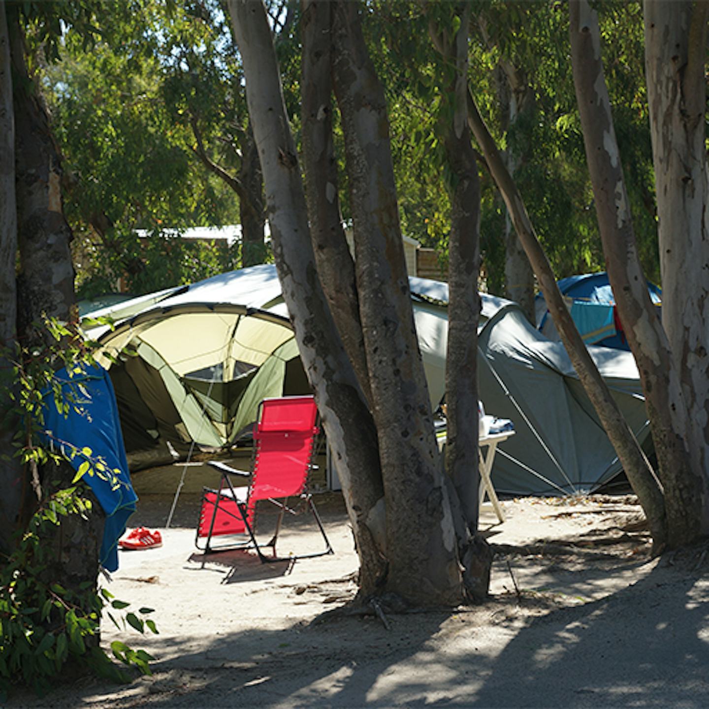 Camping International