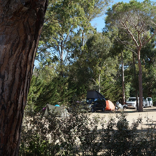 Camping International