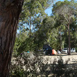 Zelt und Wohnmobil auf einem Campingplatz zwischen hohen Bäumen, mit geparkten Fahrzeugen am Rand.