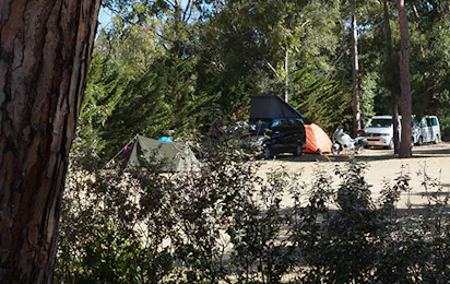 Camping International