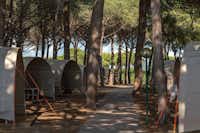 Camping International Argentario -  Stellplätze im Schatten der Bäume auf dem Campingplatz