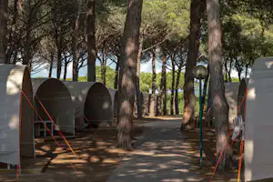 Camping International Argentario - Stellplätze im Schatten der Bäume auf dem Campingplatz