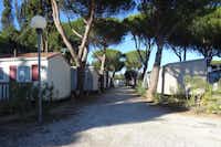 Camping International Du Roussillon - Mobilheime im Schatten der Bäume