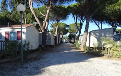 Camping International Du Roussillon