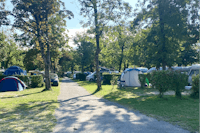Camping International du Sierroz - Zeltplätze im Schatten der Bäume