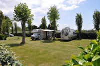 Camping International Le Raguenès Plage - Wohnmobile zwischen Bäumen auf dem Campingplatz