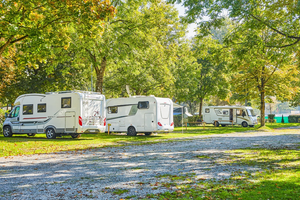 Mehrere Wohnmobile stehen auf einem Campingplatz am Weg, umgeben von Bäumen und Rasen.