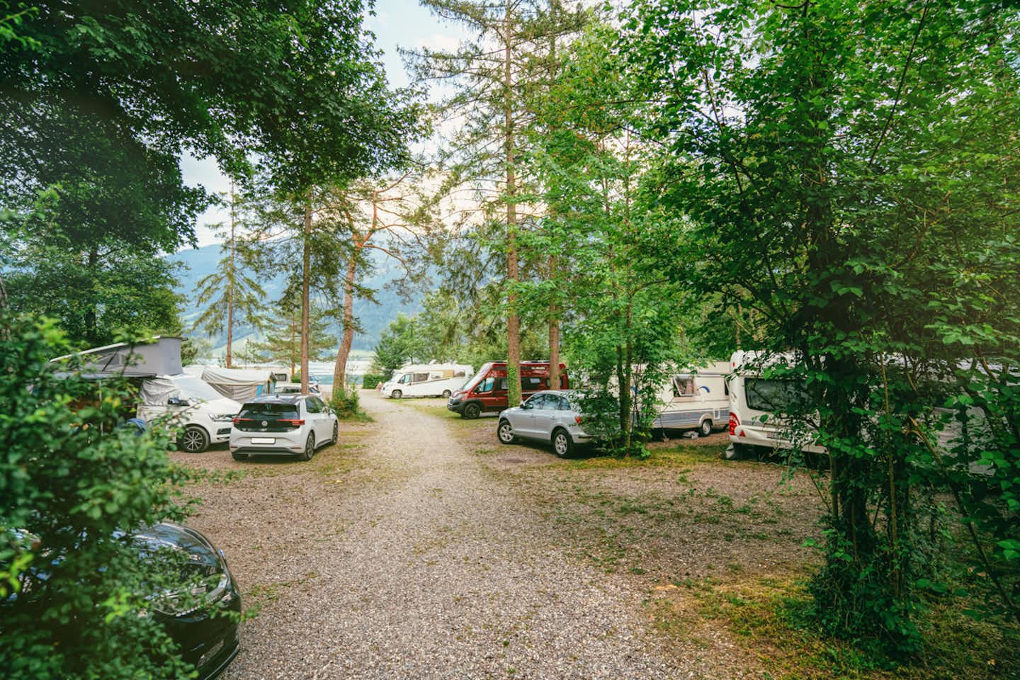 Camping International Sarnersee Giswil - Stellplätze im Schatten der Bäume