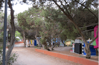 Camping International Valledoria  -  Zeltstellplätze unter Bäumen auf dem Campingplatz