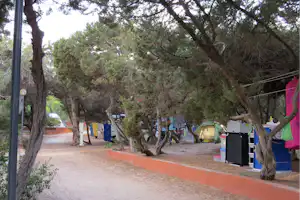 Camping International Valledoria - Zeltstellplätze unter Bäumen auf dem Campingplatz