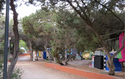 International Camping Valledoria
