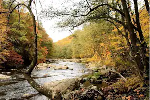 Camping International - Idyllische Natur in der Umgebung des Campingplatzes