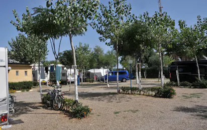 Camping Internazionale (Lido di Metaponto)