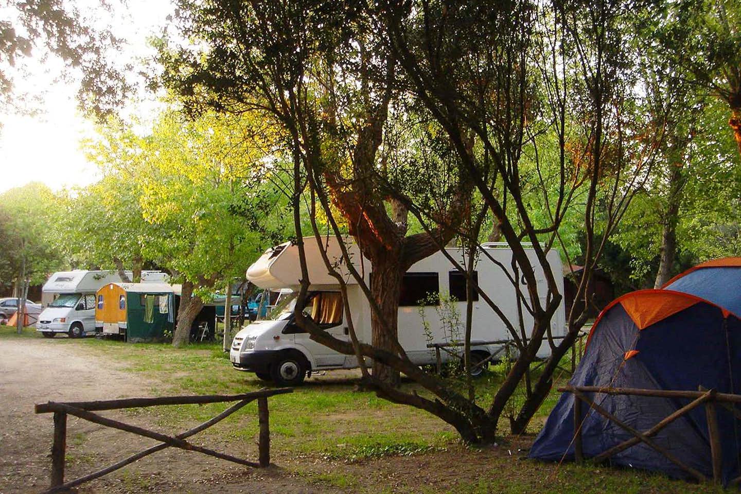 Camping Internazionale di Castel Fusano  -  Wohnwagen- und Zeltstellplatz unter Bäumen auf dem Campingplatz