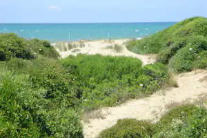 Camping Internazionale di Castel Fusano - Strand am Campingplatz